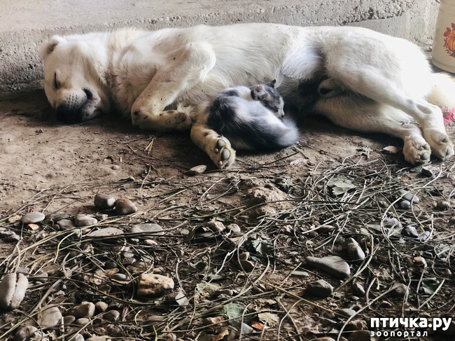 ���� 5: ������ ����� � ����� �������.