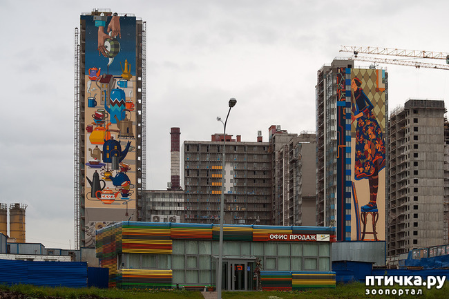 ���� 24: ������� ���������, ��� ��� ����