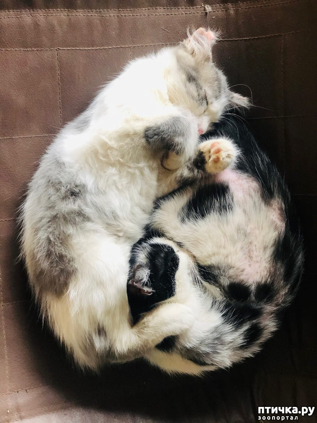 ���� 8: ������ ����� � ����� �������.