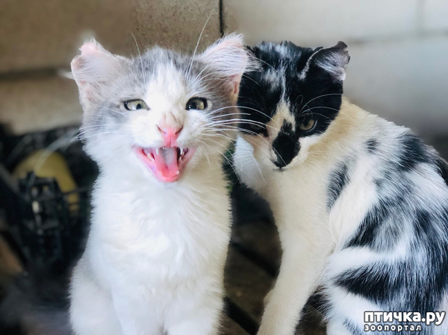 ���� 12: ������ ����� � ����� �������.