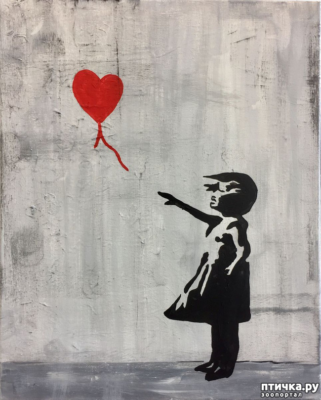 ���� 1: ������� ���������, ��� ��� ����