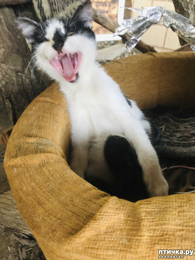 ���� 14: ������ ����� � ����� �������.