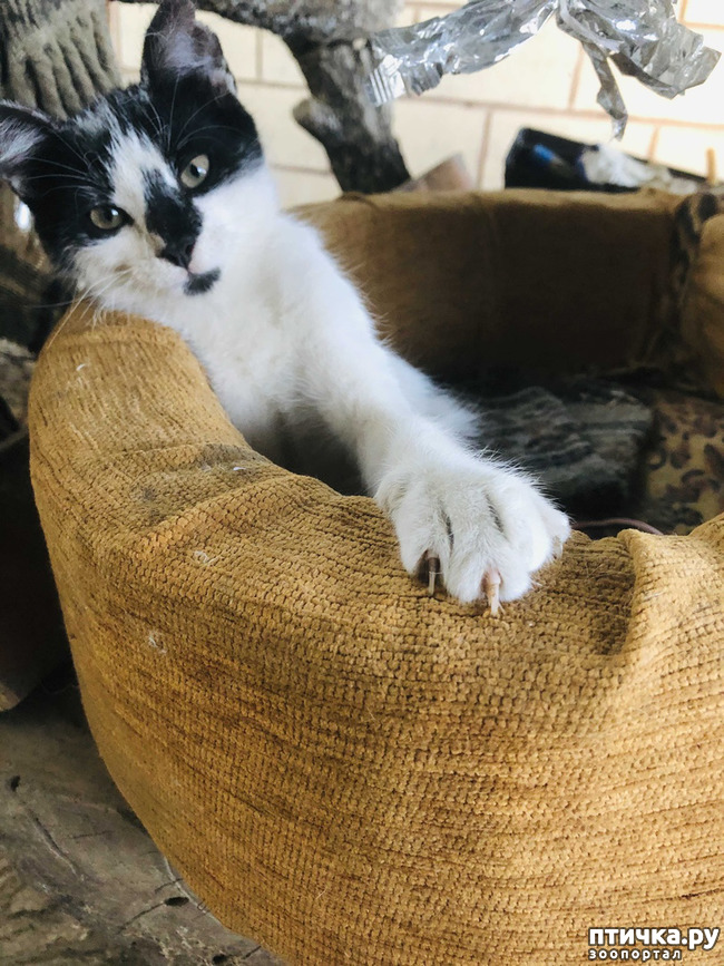 ���� 15: ������ ����� � ����� �������.