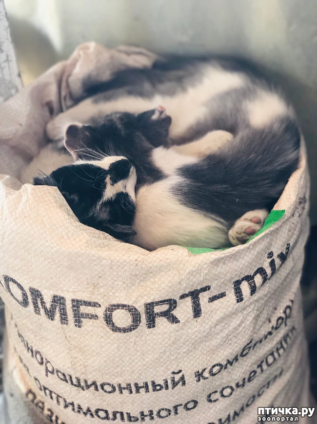 ���� 10: ������ ����� � ����� �������.