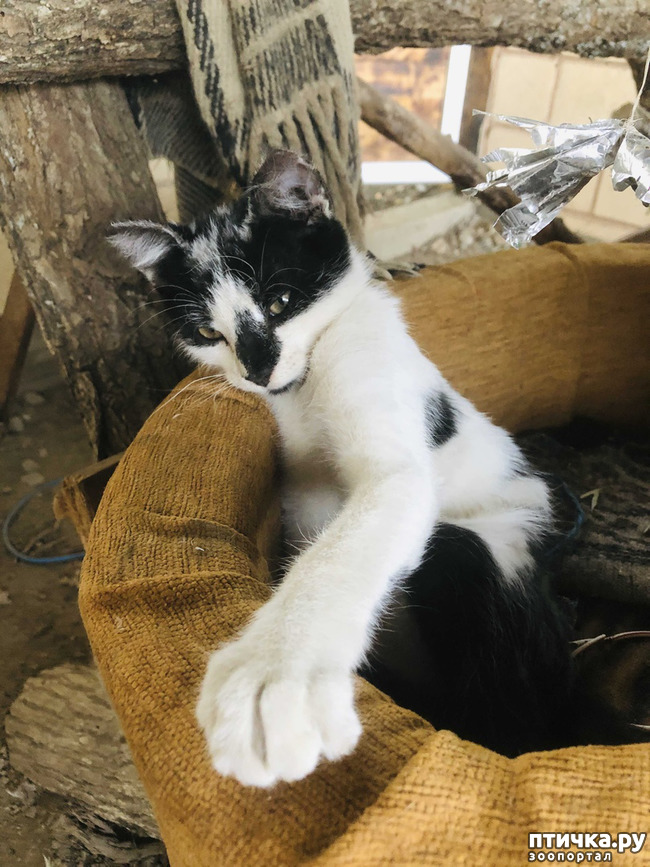 ���� 16: ������ ����� � ����� �������.