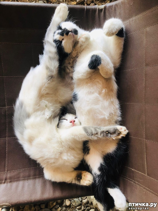 ���� 9: ������ ����� � ����� �������.