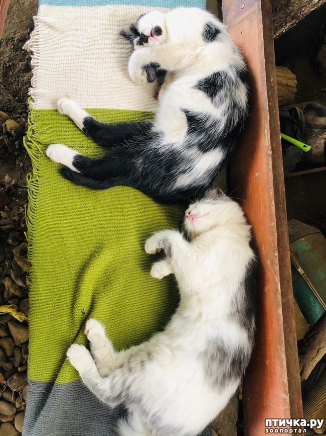 ���� 11: ������ ����� � ����� �������.