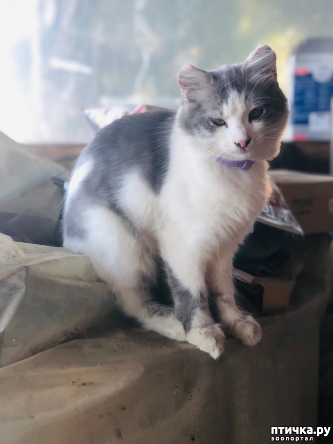 ���� 2: ������ ����� � ����� �������.