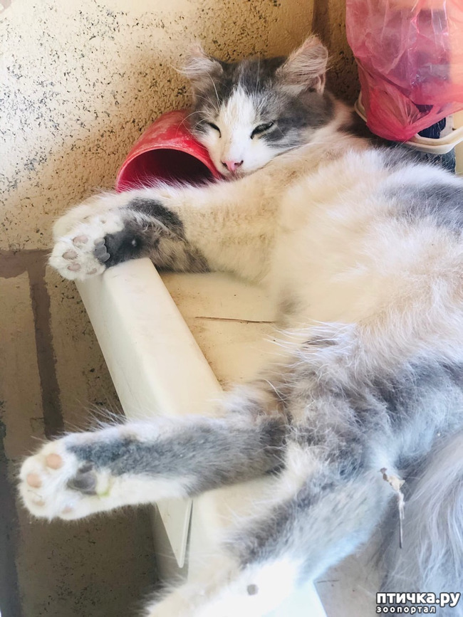 ���� 3: ������ ����� � ����� �������.