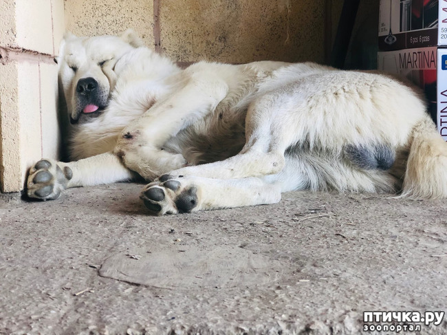 ���� 18: ������ ����� � ����� �������.