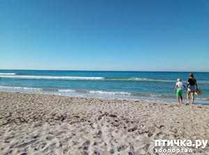 фотография: Шикарное море фото: Шикарное море