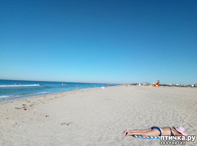 ���� 2: �������� ����