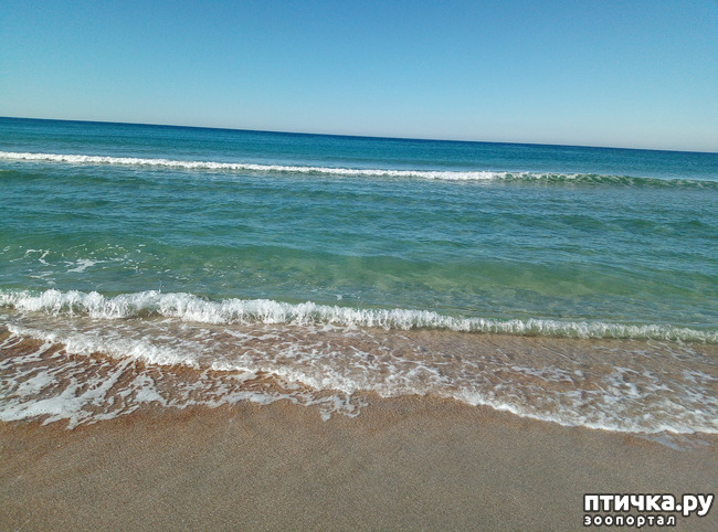 ���� 7: �������� ����