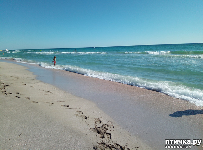 ���� 3: �������� ����