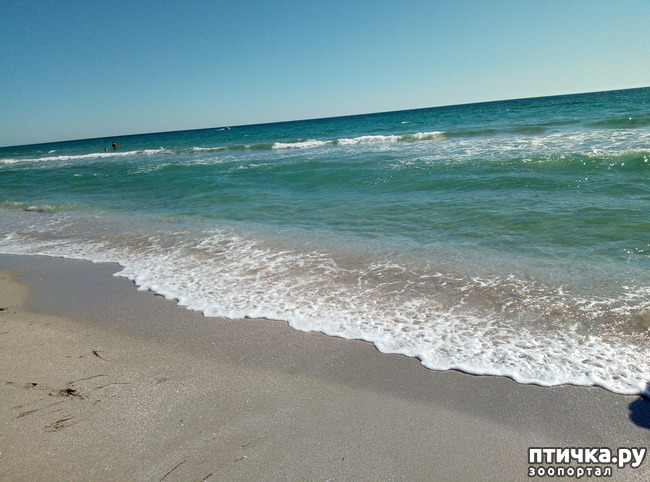 ���� 6: �������� ����