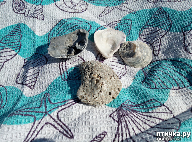 ���� 4: �������� ����