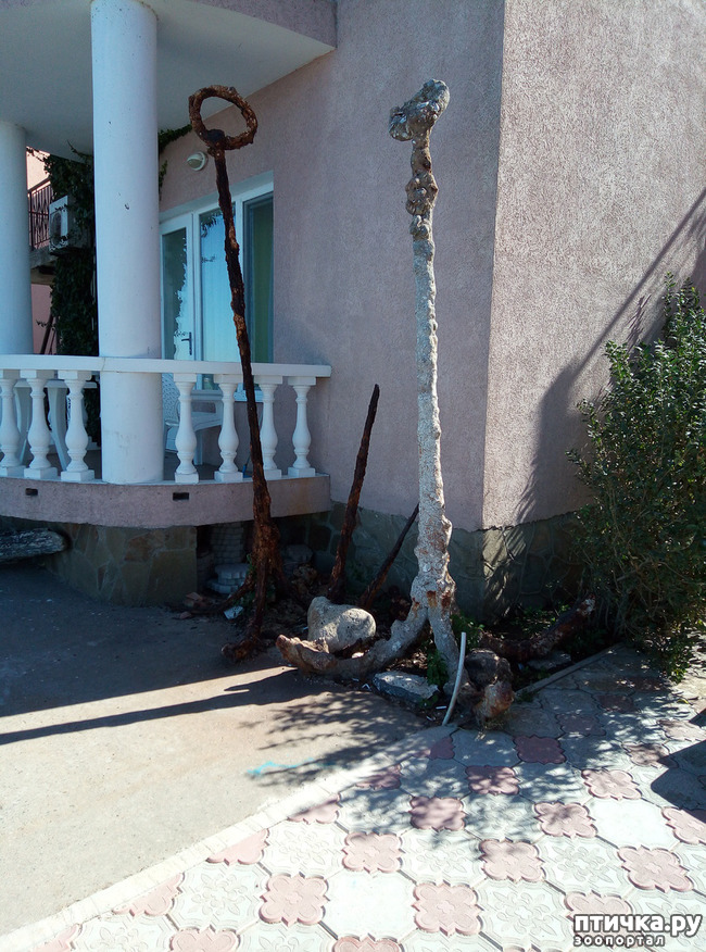 ���� 5: �������� ����