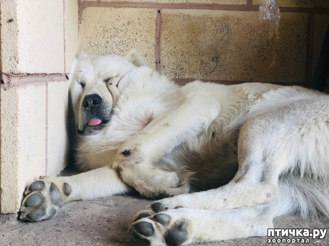 ���� 19: ������ ����� � ����� �������.