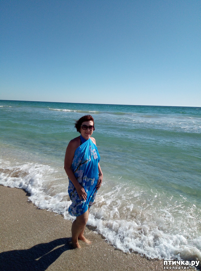 ���� 8: �������� ����