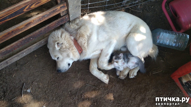 ���� 7: ������ ����� � ����� �������.