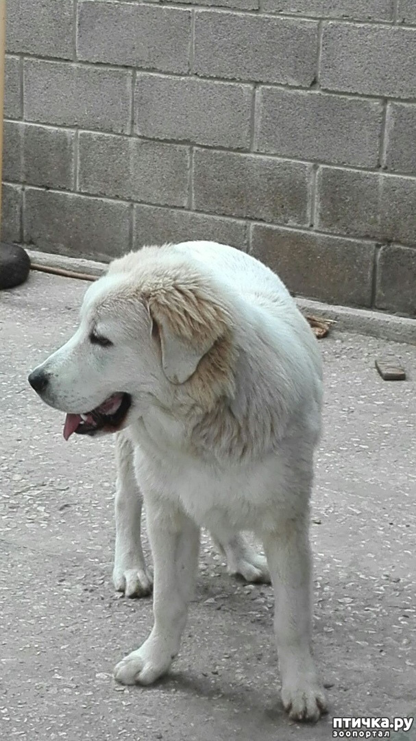 ���� 21: ������ ����� � ����� �������.