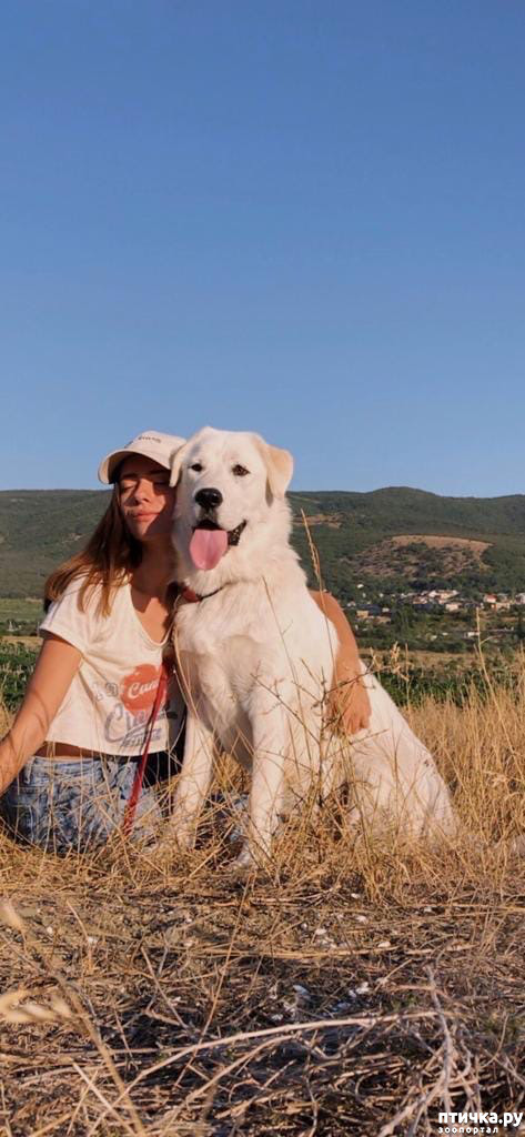 ���� 22: ������ ����� � ����� �������.