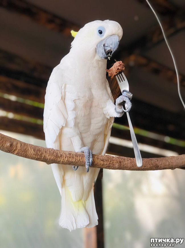 ���� 24: ������ ����� � ����� �������.