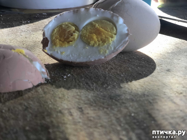 ���� 25: ������ ����� � ����� �������.