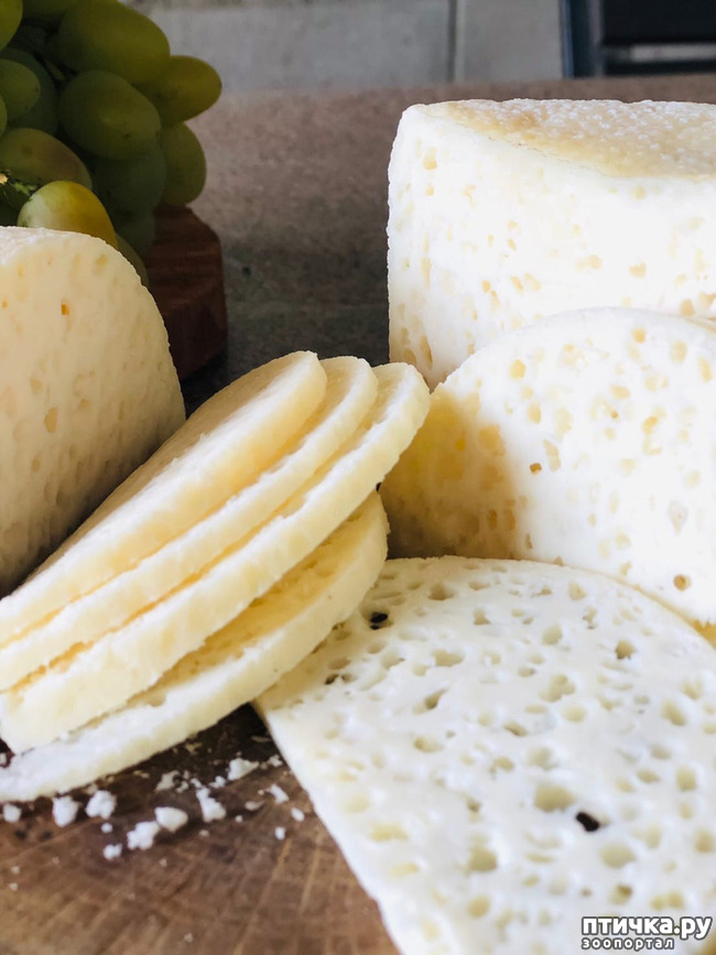 ���� 28: ������ ����� � ����� �������.