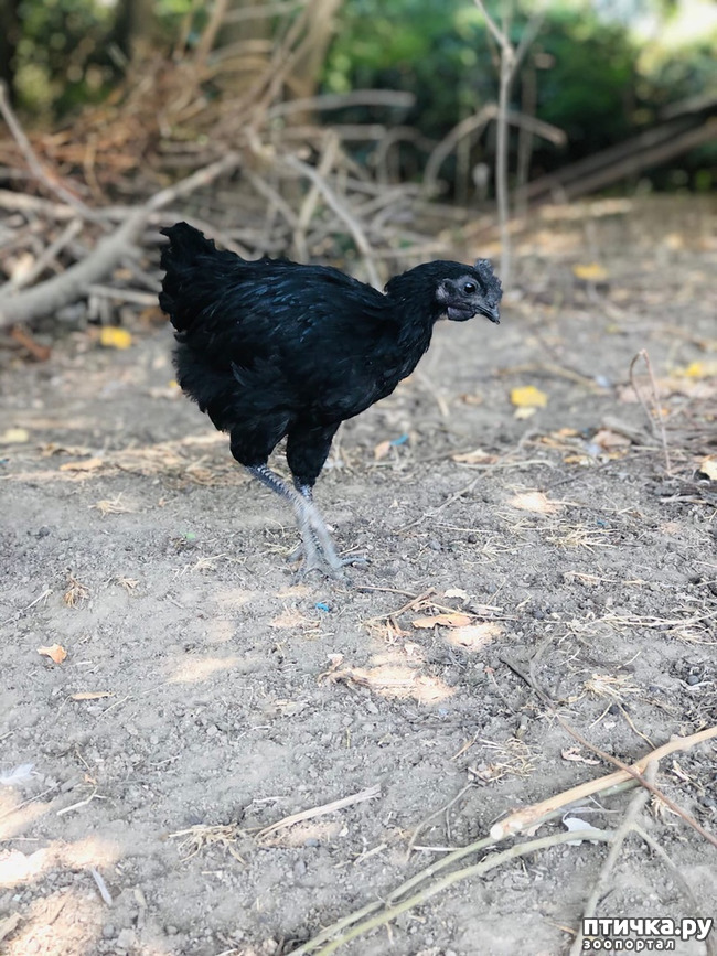 ���� 29: ������ ����� � ����� �������.