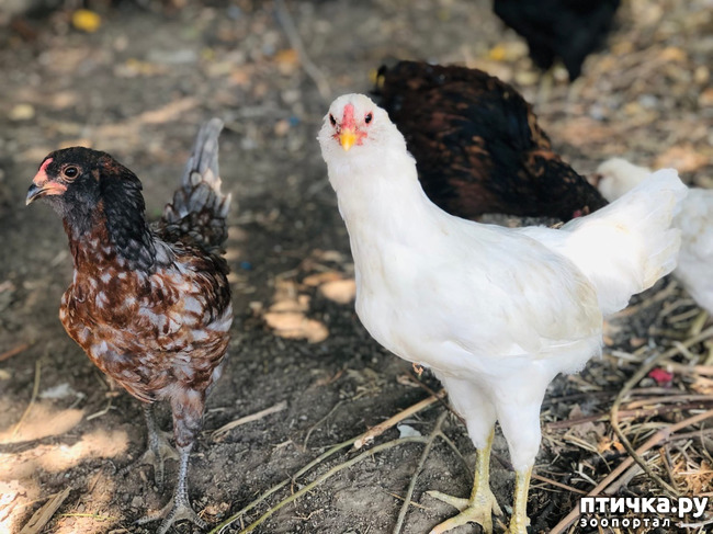 ���� 30: ������ ����� � ����� �������.