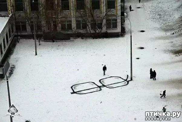 ���� 4: ������� ���������, ��� ��� ����