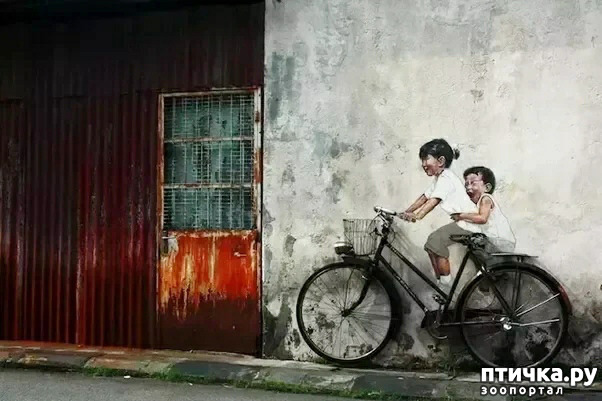 ���� 7: ������� ���������, ��� ��� ����