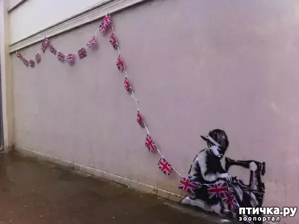 ���� 10: ������� ���������, ��� ��� ����