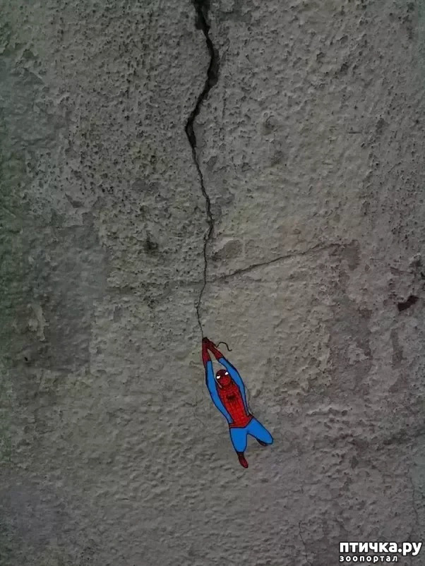 ���� 13: ������� ���������, ��� ��� ����