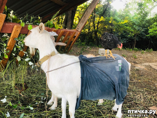 ���� 32: ������ ����� � ����� �������.