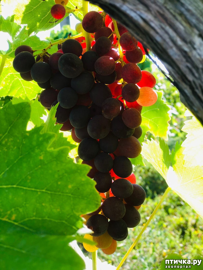 ���� 35: ������ ����� � ����� �������.