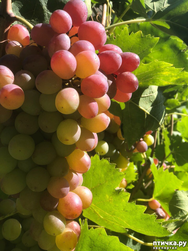 ���� 37: ������ ����� � ����� �������.