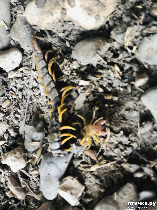 ���� 12: ��������� �������� ���������