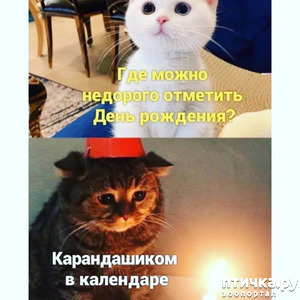 фотография: Юмор в нашей жизни никто не отменял фото: Юмор в нашей жизни никто не отменял