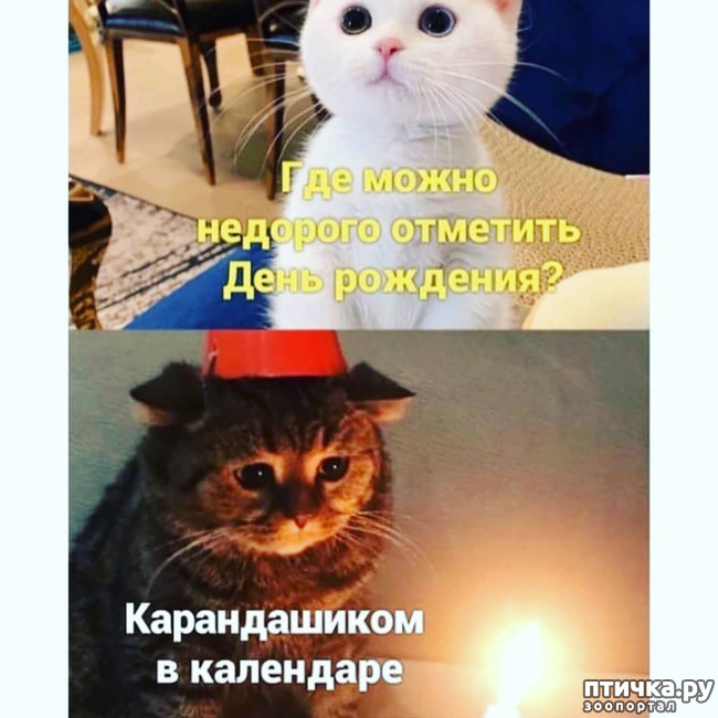 ���� 1: ���� � ����� ����� ����� �� �������