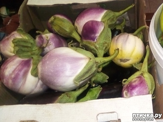 ���� 13: ��������� �������� ���������