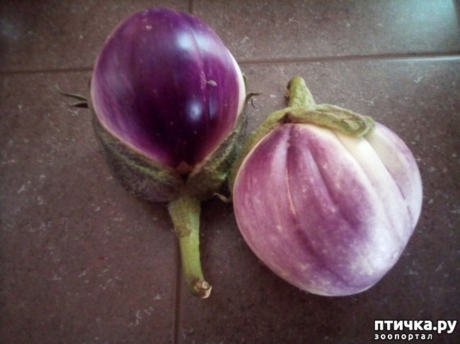 ���� 14: ��������� �������� ���������