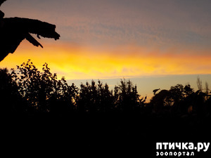 фотография: Продолжаю делиться новостями фото: Продолжаю делиться новостями