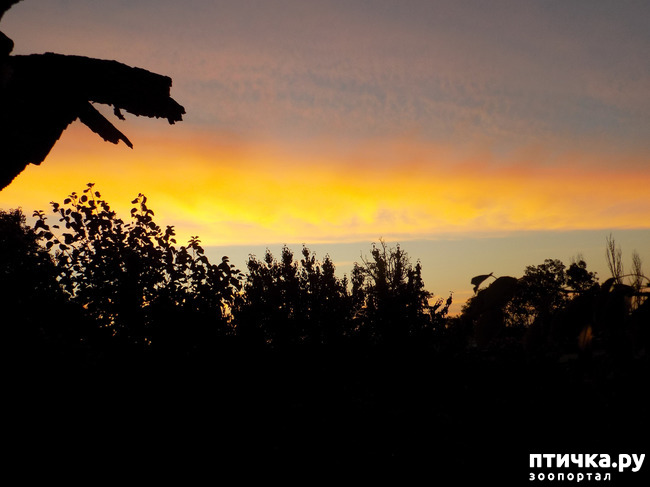 ���� 1: ��������� �������� ���������