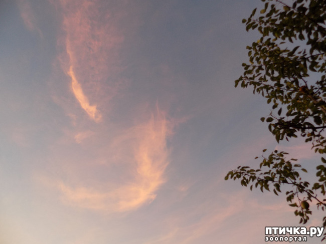 ���� 2: ��������� �������� ���������