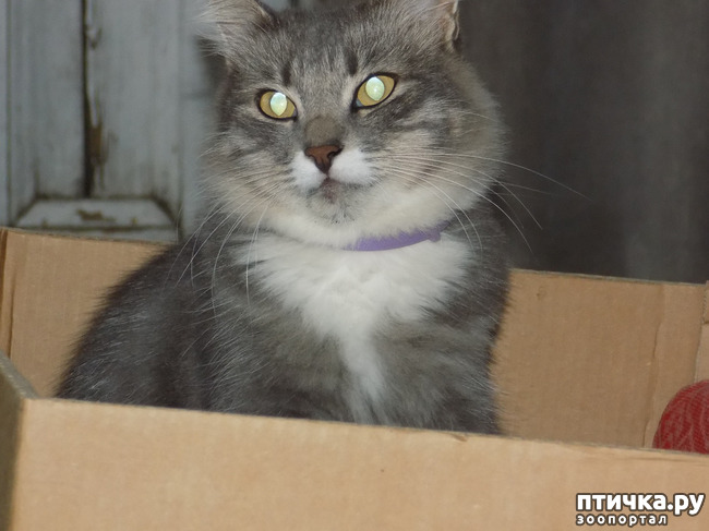 ���� 3: ��������� �������� ���������