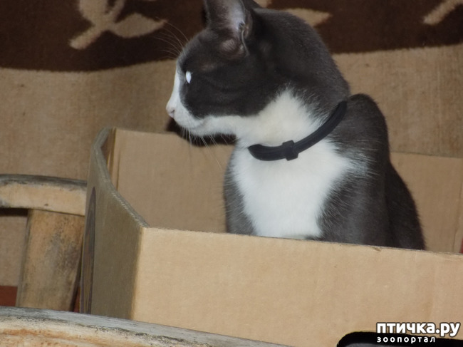 ���� 4: ��������� �������� ���������