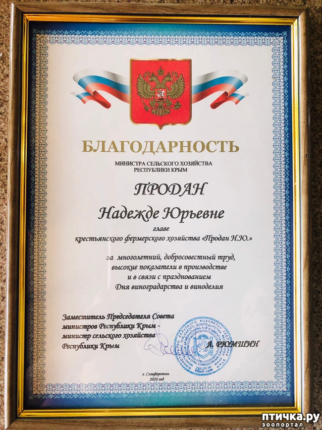 ���� 5: ��������� �������� ���������