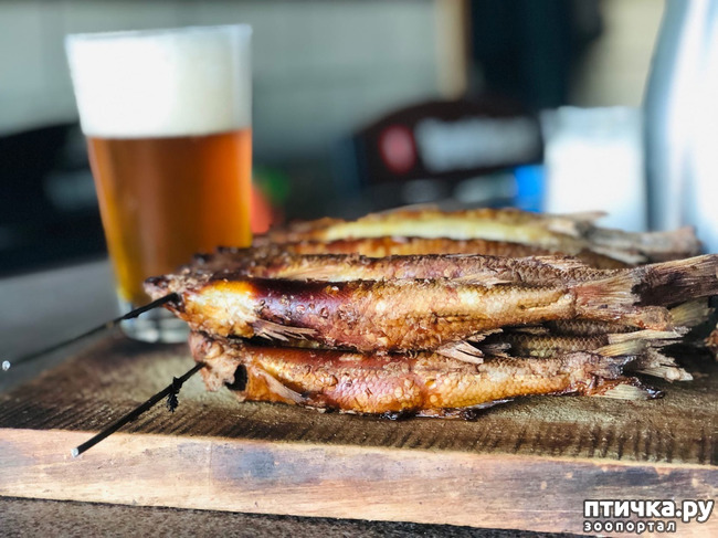 ���� 6: ��������� �������� ���������